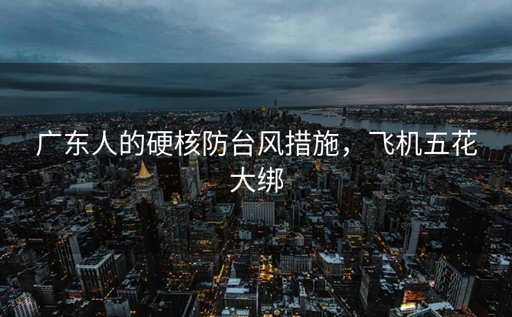 广东人的硬核防台风措施，飞机五花大绑