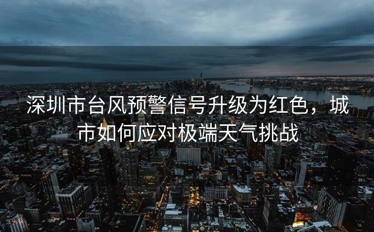 深圳市台风预警信号升级为红色，城市如何应对极端天气挑战