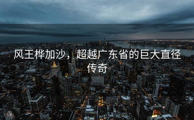 风王桦加沙，超越广东省的巨大直径传奇