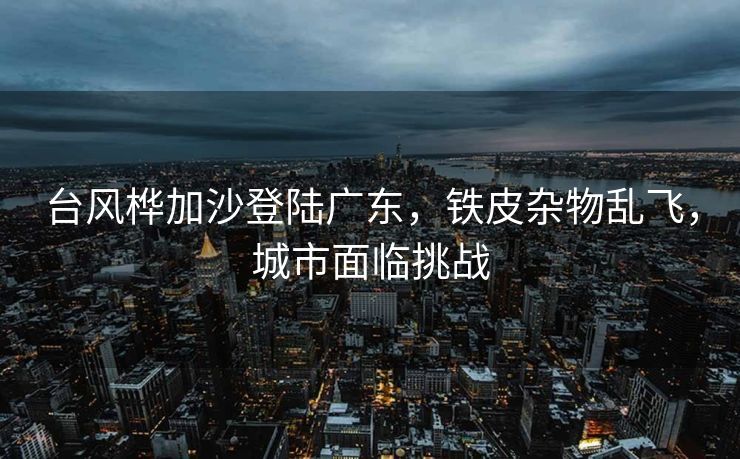 台风桦加沙登陆广东，铁皮杂物乱飞，城市面临挑战