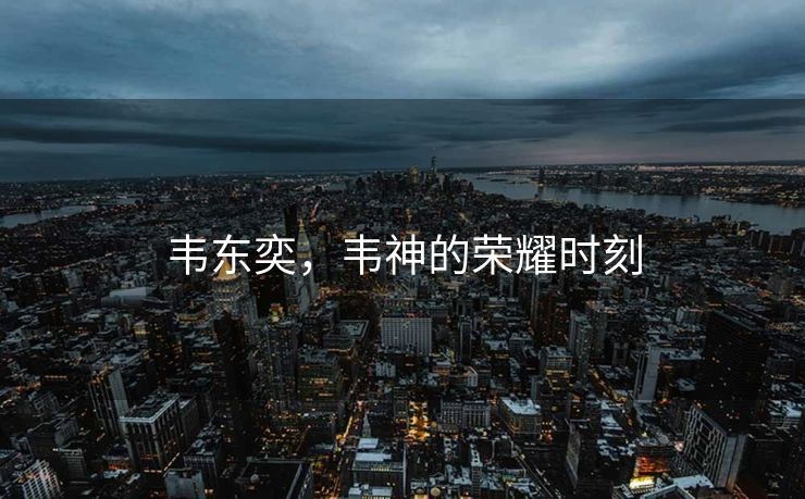 韦东奕，韦神的荣耀时刻