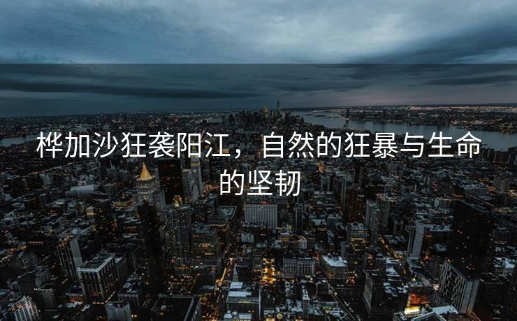 桦加沙狂袭阳江，自然的狂暴与生命的坚韧
