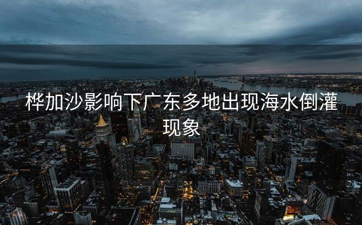 桦加沙影响下广东多地出现海水倒灌现象