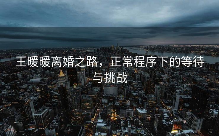 王暖暖离婚之路，正常程序下的等待与挑战