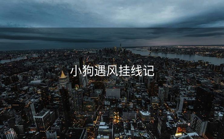 小狗遇风挂线记