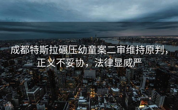 成都特斯拉碾压幼童案二审维持原判，正义不妥协，法律显威严