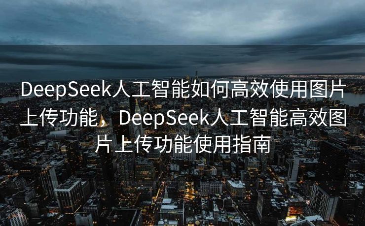 DeepSeek人工智能如何高效使用图片上传功能，DeepSeek人工智能高效图片上传功能使用指南