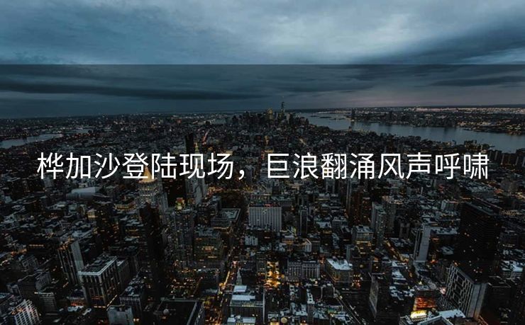 桦加沙登陆现场，巨浪翻涌风声呼啸