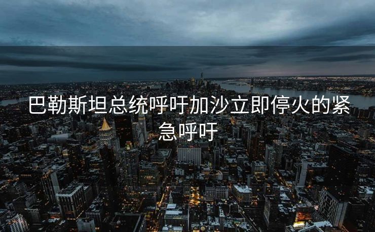 巴勒斯坦总统呼吁加沙立即停火的紧急呼吁