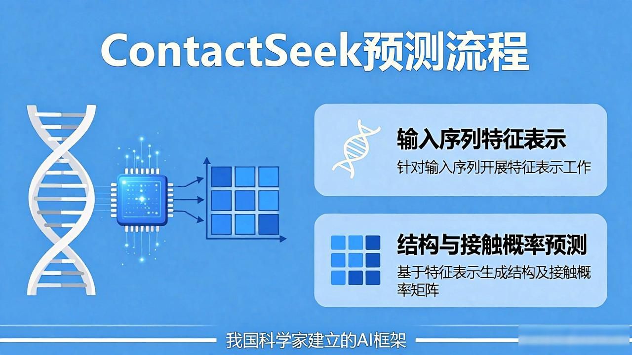 赋能精准碱基编辑：我国科学家建立基于 AlphaFold3 接触概率的 AI 框架 ContactSeek_赋能精准碱基编辑：我国科学家建立基于 AlphaFold3 接触概率的 AI 框架 ContactSeek_